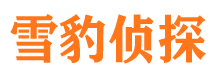 莱山市侦探公司